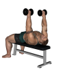 Dumbbell Press - Flat Bench and Flye Reverse